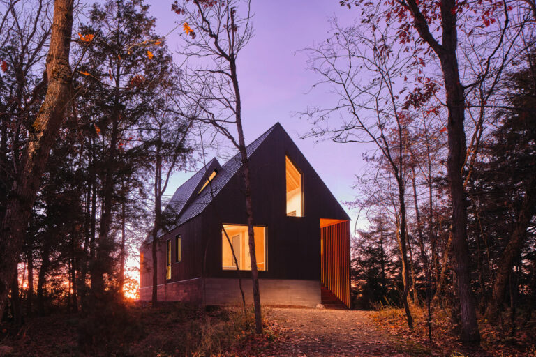 Bunkie on the Hill - Un chalet dans les arbres