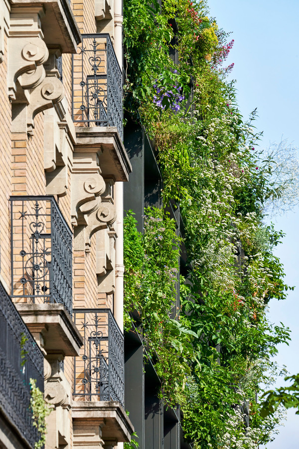 Villa M : une alliance entre santé, nature et architecture à Paris