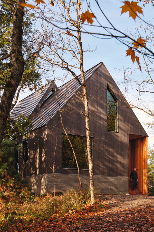 Bunkie on the Hill - Un chalet dans les arbres