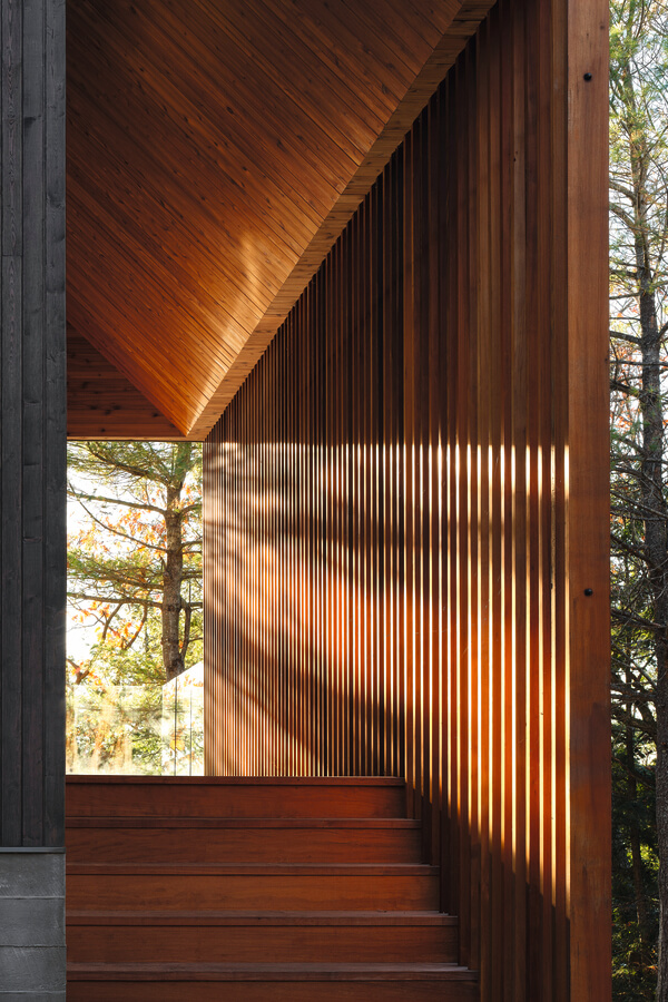 Bunkie on the Hill - Un chalet dans les arbres