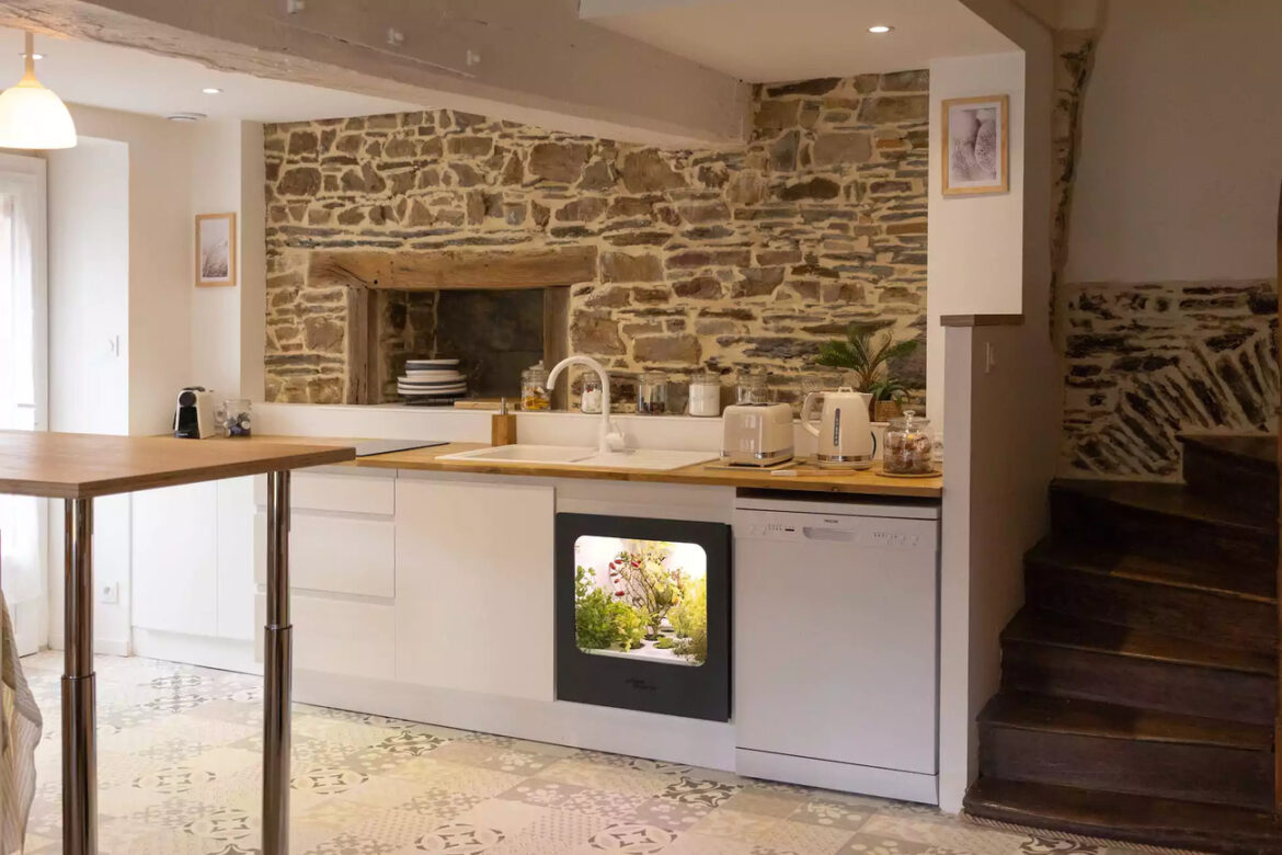 Potagers d’intérieur connectés : l'innovation d'Urban Cuisine