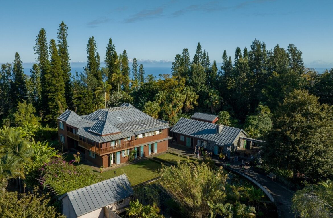 Une balade botanique au cœur de l’île de la Réunion Une balade botanique au cœur de la Réunion