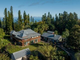 Une balade botanique au cœur de la Réunion