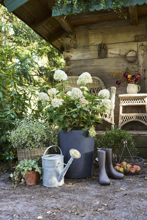 Truffaut célèbre 200 ans de passion pour le jardinage