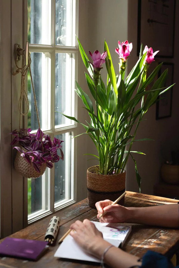 Truffaut célèbre 200 ans de passion pour le jardinage