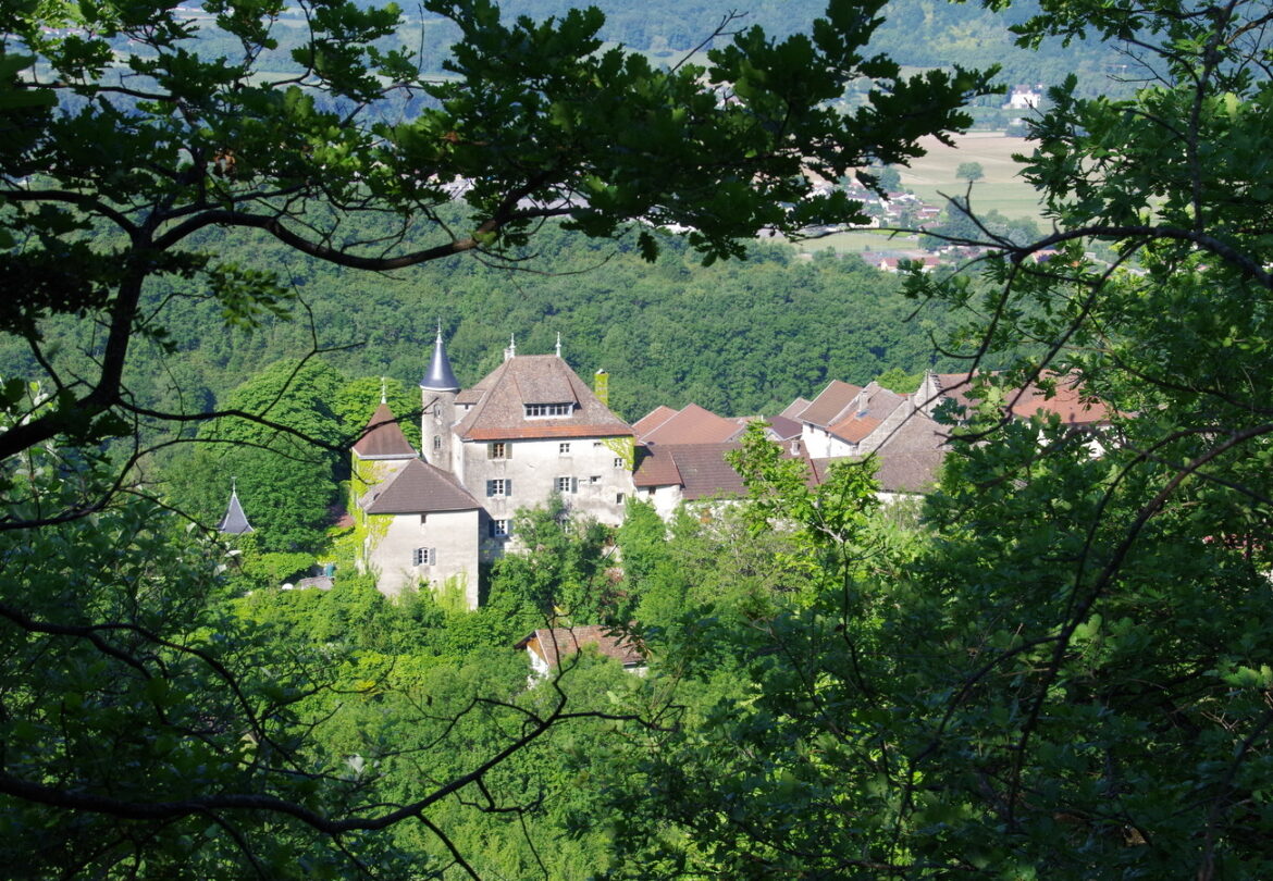 Offrez à votre groupe un centre de séminaire au vert ! – la Tour d'Oncin