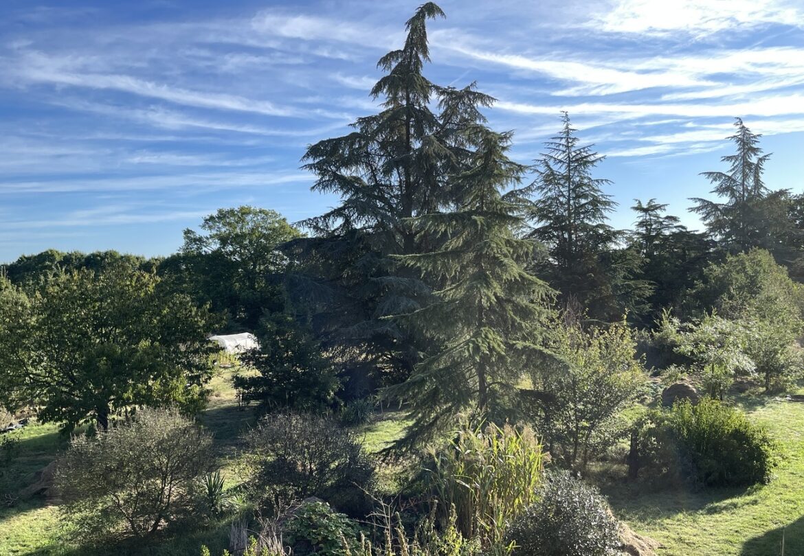 Séjournez dans des gîtes de caractère dans le Tarn – Le Chant du Buc