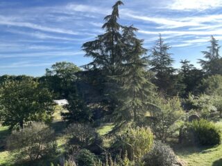 Séjournez dans des gîtes de caractère dans le Tarn – Le Chant du Buc
