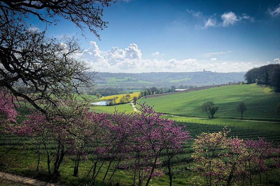 La Colline Gersoise : des vacances dans le Gers entre nature et convivialité