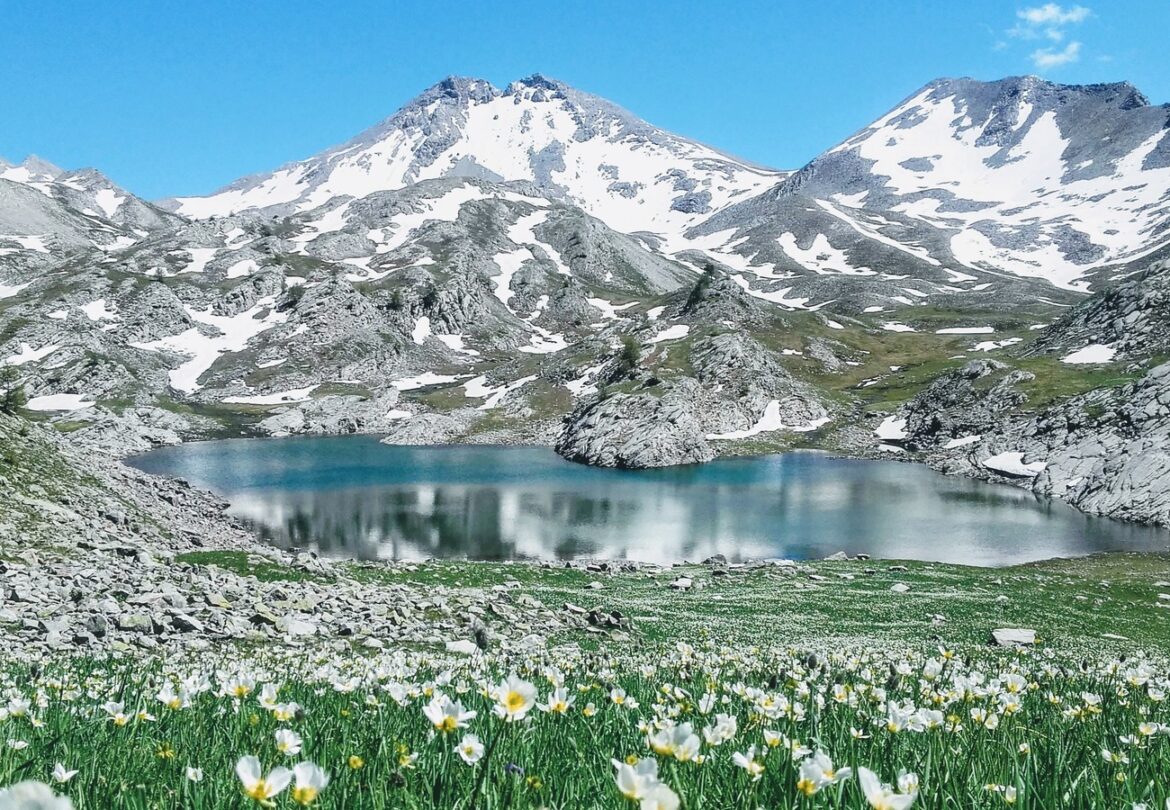 Les trésors du Mercantour : un voyage éco-responsable au cœur de la nature Le Mercantour autrement : cap sur un voyage éco responsable