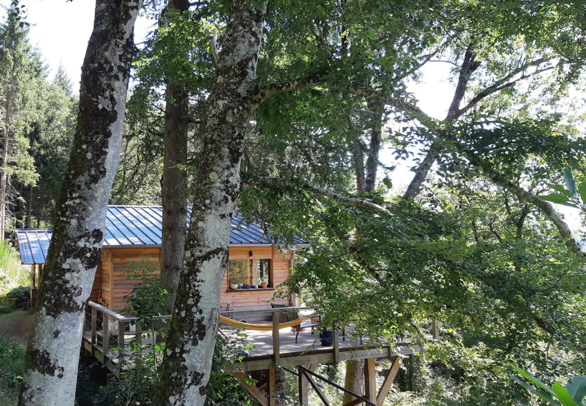 Un séjour en forêt pour retrouver l’essentiel Un séjour en forêt, au plus près de la nature