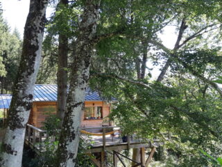 Un séjour en forêt, au plus près de la nature