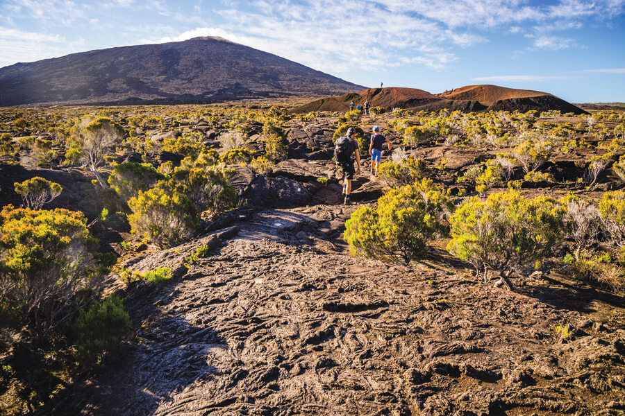 Un voyage inoubliable au cœur de l’île intense de La Réunion