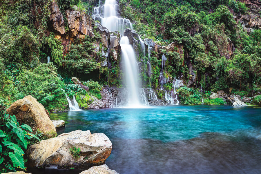 Un voyage inoubliable au cœur de l’île intense de La Réunion