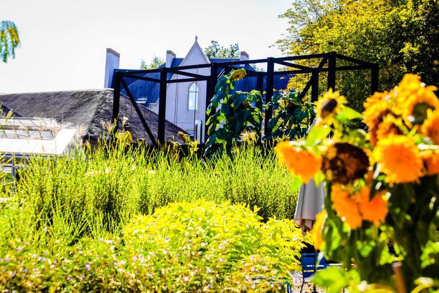 Un potager extraordinaire en Vendée