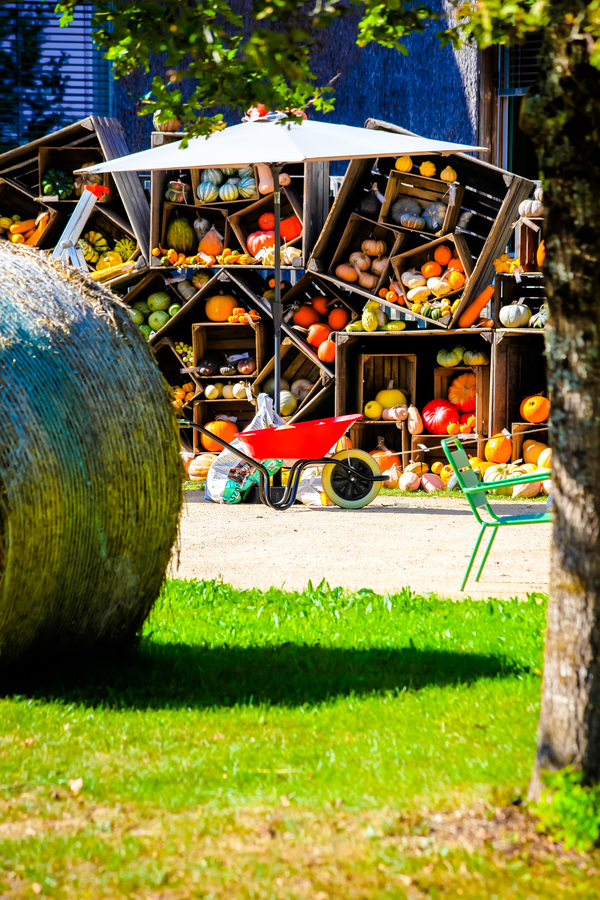 Un potager extraordinaire en Vendée