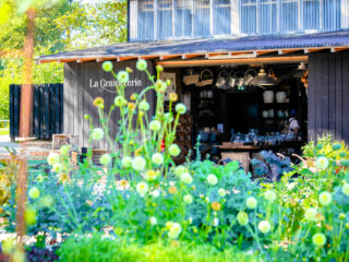 Un potager extraordinaire en Vendée