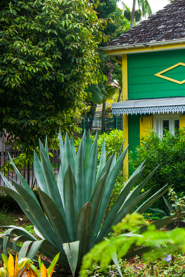 Vivre un séjour à La Réunion autrement avec la Kaz Tourist’