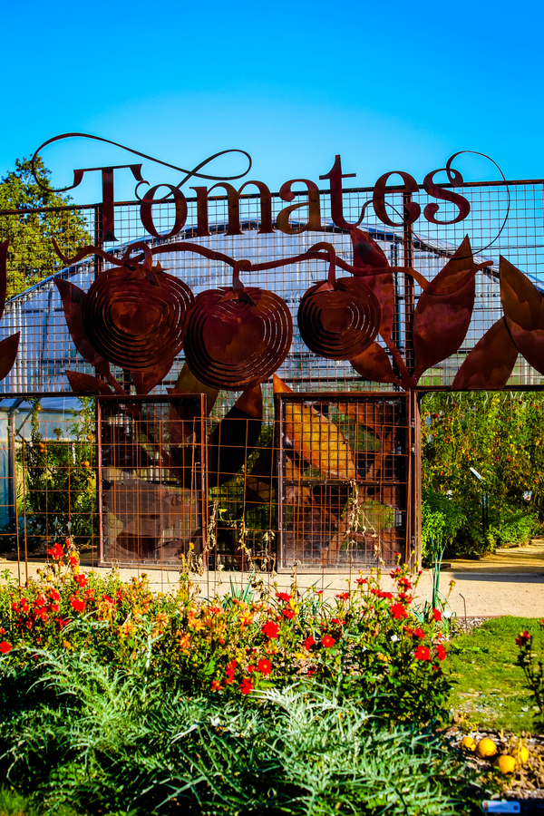 Un potager extraordinaire en Vendée