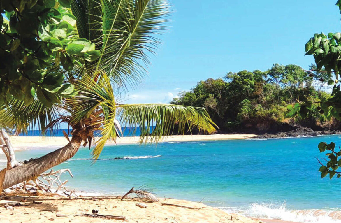 Investir à Madagascar, terre d’opportunités Investir à Madagascar, un pari gagnant sur l’avenir