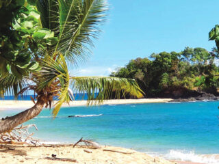 Investir à Madagascar, un pari gagnant sur l’avenir