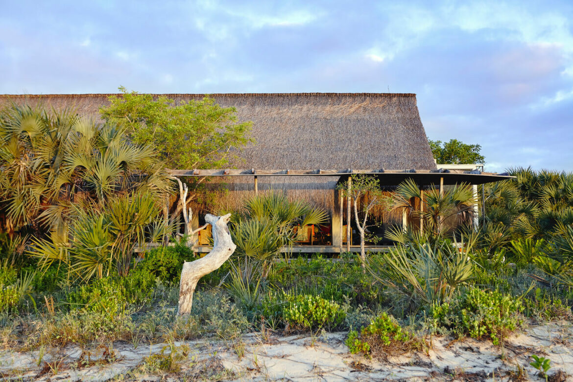 Visite, Casa Comprida : une villa sur pilotis qui réinvente la vie en bord de mer Immersion dans une villa sur pilotis entre océan et canopée