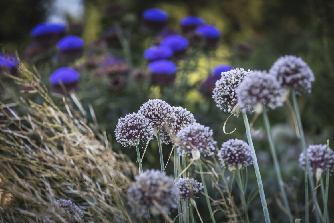 Le Clos des Sens, un jardin en permaculture