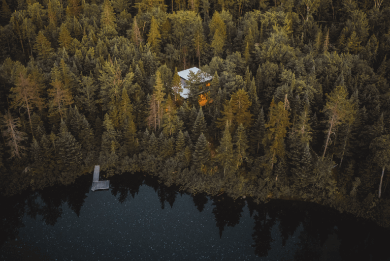 Votre chalet avec spa au cœur de la nature