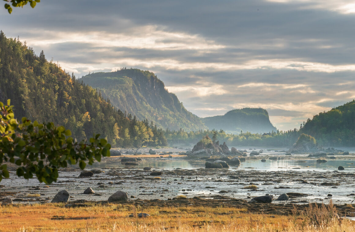 Le Québec côté mer n'a pas fini de vous surprendre – Québec Maritime