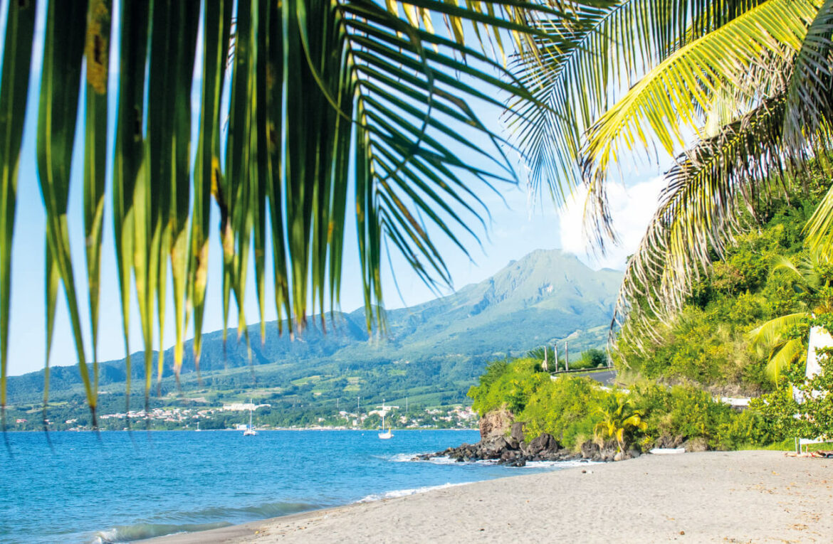 Le restaurant de plage qui fait vibrer le Nord de la Martinique Le Petibonum - Un restaurant de plage au cœur des Caraïbes