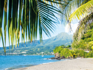 Le Petibonum - Un restaurant de plage au cœur des Caraïbes