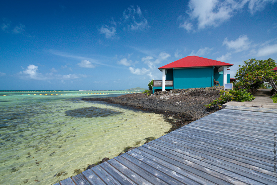 Une villa en Martinique pour vivre l’île autrement