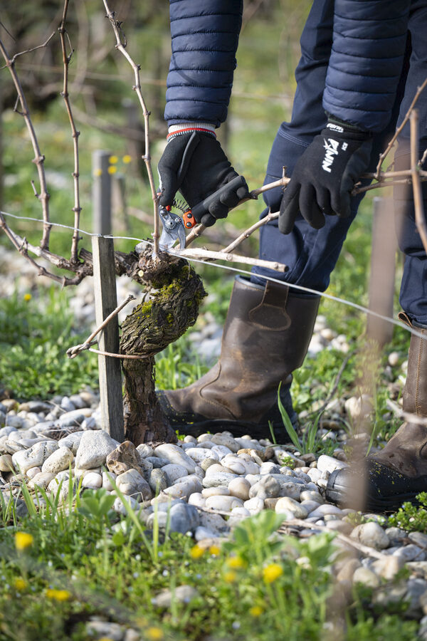 Le Temps d’un Terroir au Domaine Les Crayères : une expérience gastronomique d’exception