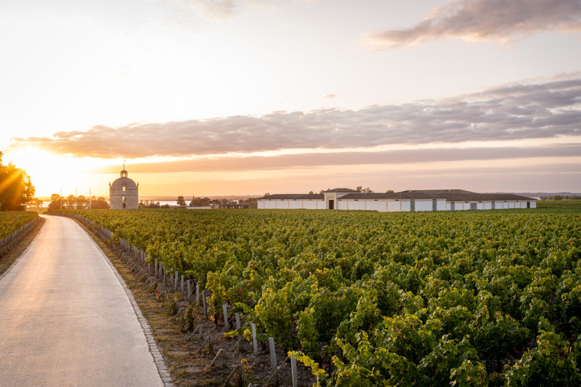 Le Temps d’un Terroir au Domaine Les Crayères Le Temps d’un Terroir au Domaine Les Crayères : une expérience gastronomique d’exception