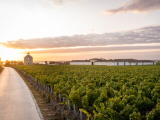 Le Temps d’un Terroir au Domaine Les Crayères : une expérience gastronomique d’exception