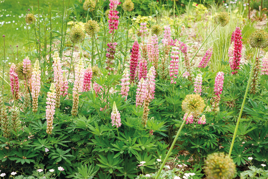 Domaine Chaumont : un lieu incontournable entre art, histoire et jardins