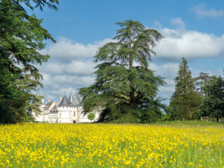 Domaine Chaumont : un lieu incontournable entre art, histoire et jardins
