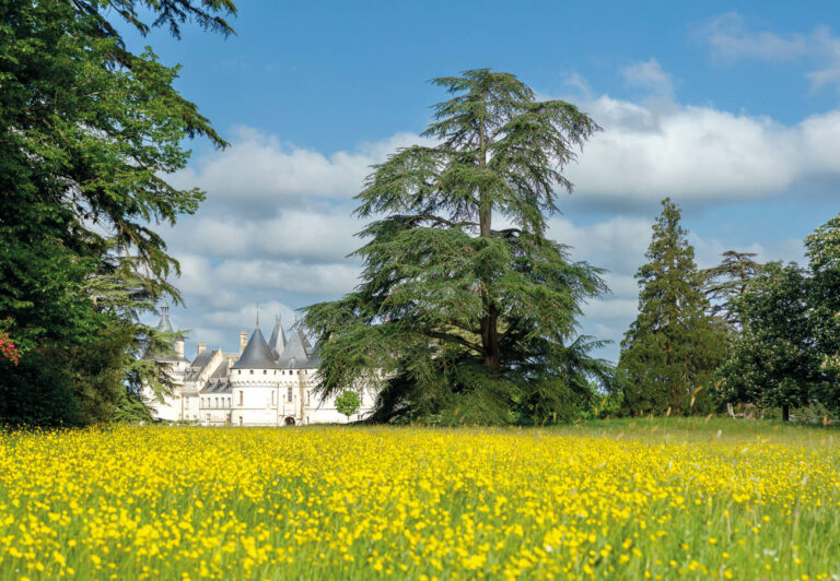 Domaine Chaumont : un lieu incontournable entre art, histoire et jardins