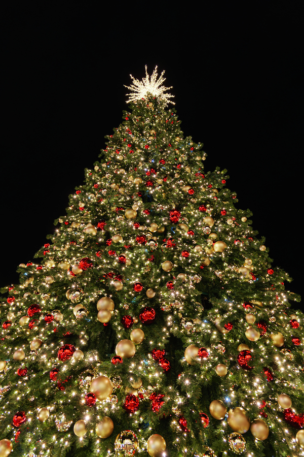 Noël à Monte-Carlo : une féerie musicale et gourmande au cœur de la Principauté