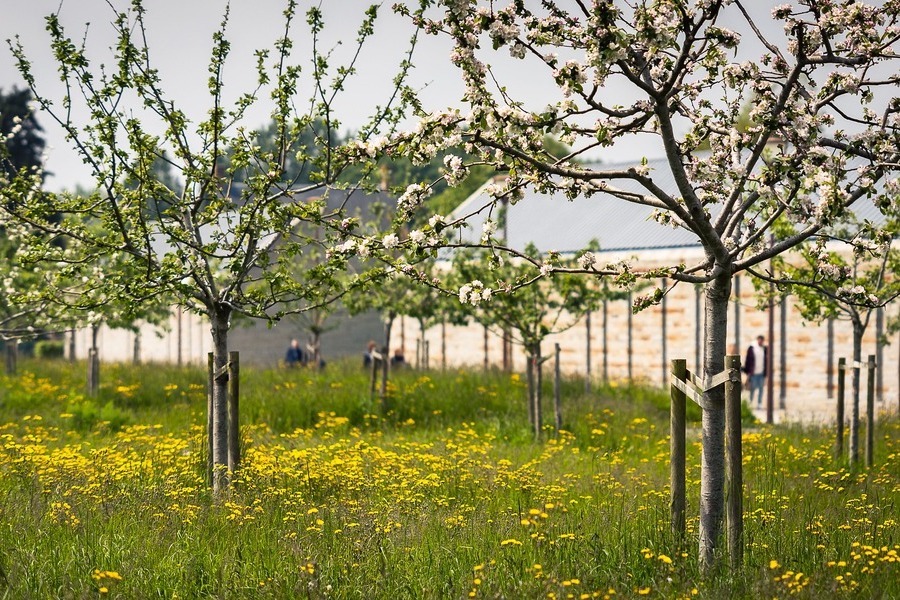 Le verger du Mont Saint-Michel vous attend