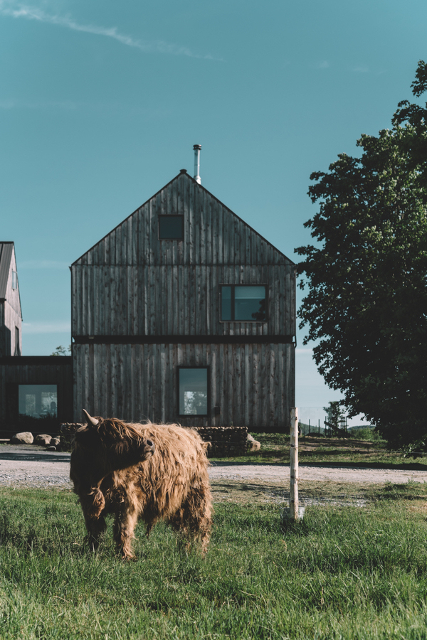 Un séjour gourmand dans une ferme québécoise – Au pied levé