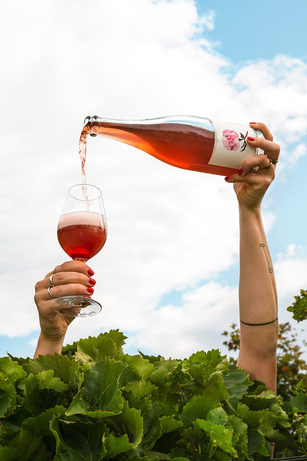 Un vignoble au Québec pas comme les autres…