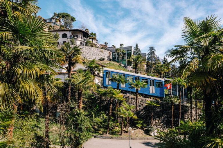 Tour opérateur associatif et culturel – Arts et Vie