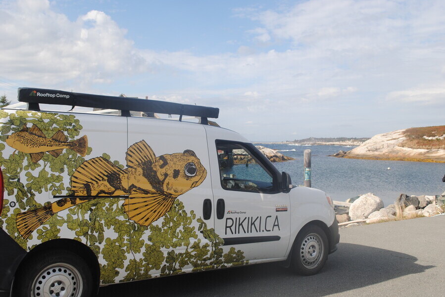 Location de van au Québec : voyager en liberté !