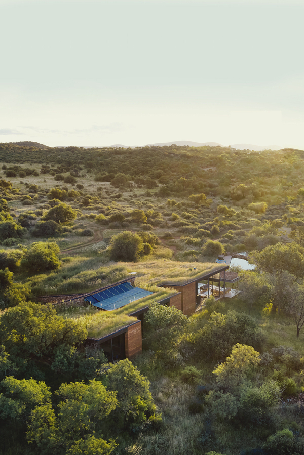 Architecture durable en Afrique du Sud : une maison invisible dans le paysage