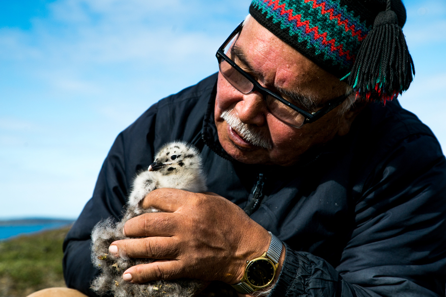 Découvrir le Nunavik, des aventures grand nord