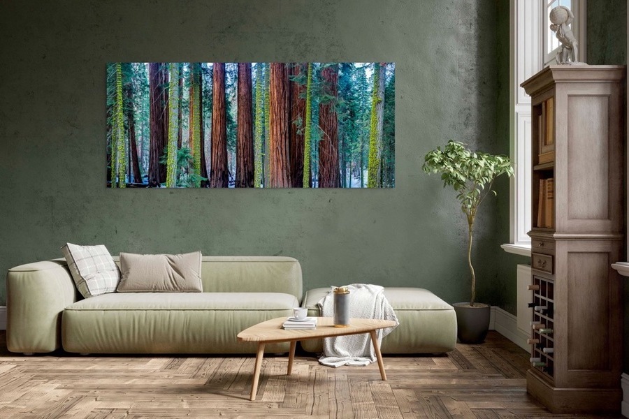 Des photographies spectaculaires de nature et de paysage – Philip Richard