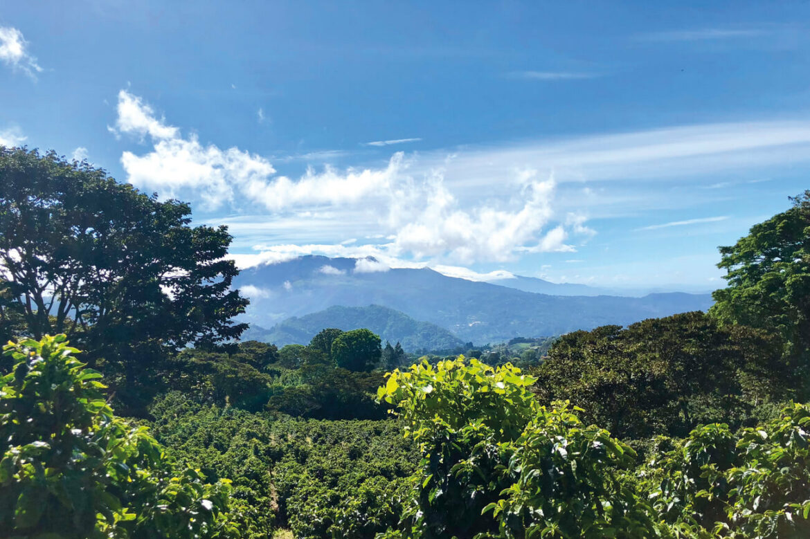 Visiter le Panama autrement avec une agence sur place