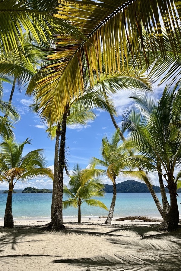 Visiter le Panama autrement avec une agence sur place