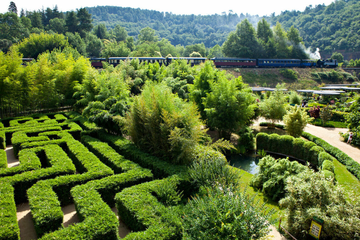 Bambouseraie en Cévennes : immersion dans un jardin botanique unique